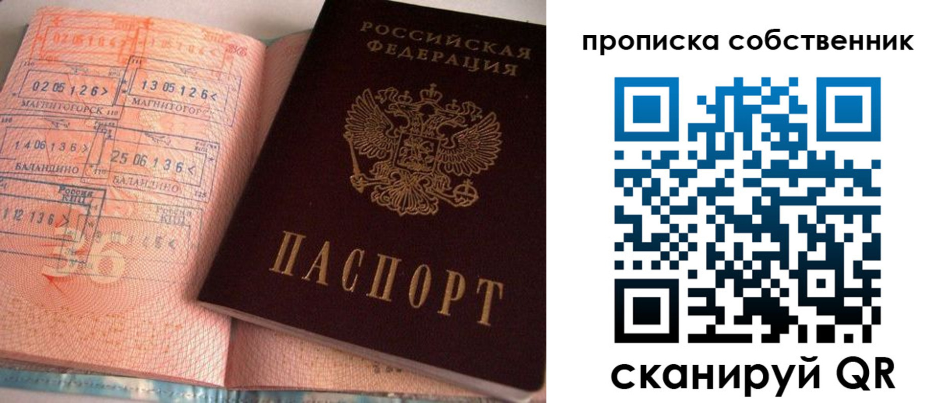 прописка в Коле